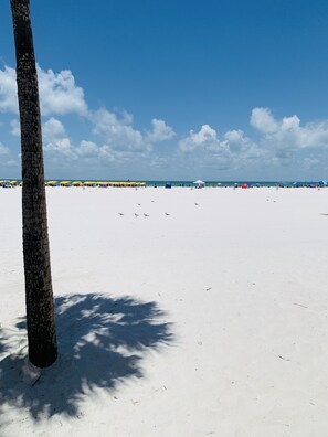 Beach nearby, beach towels - Indulge in breathtaking Ocean and Bay Views from the balcony-Exquisite 3BR/2 BA (Clearwater)