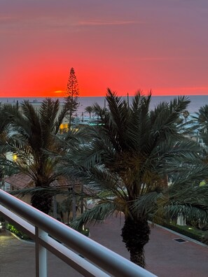 A sunset view with palm trees and a building in the background.