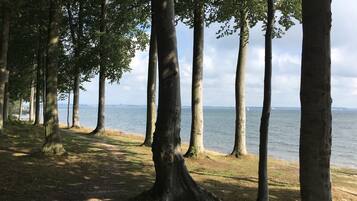 Beach nearby, sun loungers