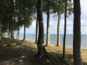 Beach nearby, sun loungers