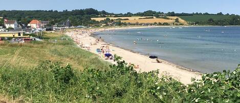 Playa en los alrededores y camastros 