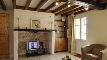 Télévision, lecteur de DVD, table de tennis de table