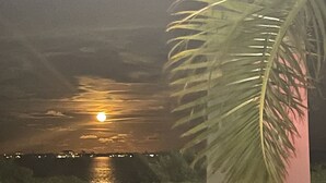 A nighttime view of a body of water reflecting the moonlight, with a palm tree and rocks in the foreground. - 🏝Beaches, Nature Sanctuaries, and Rockets with plenty of room for a family. (Palm Bay)