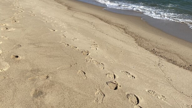 A sandy beach with footprints leading to the water. - Coastal Cape Hideaway - Outdoor Shower & Fire-pit! (Mashpee)