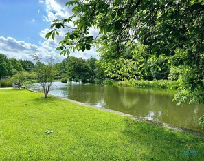 Surrounded by serene waters and lush greenery, this lakeside retreat offers a peaceful escape.