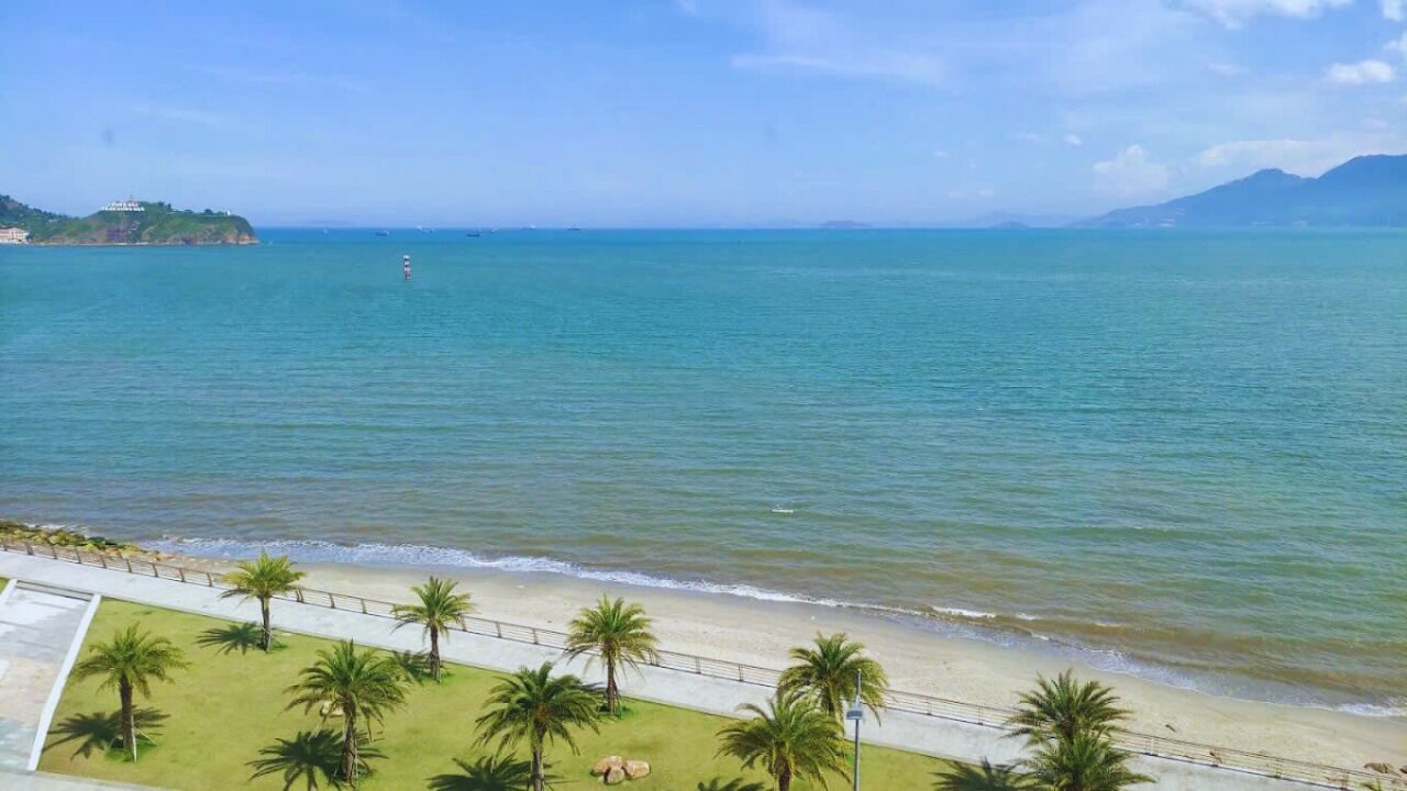Vista costera con playa, palmeras y cielo despejado.