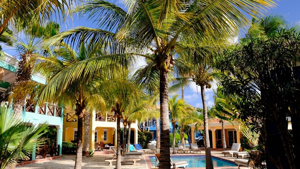 A pool area with palm trees, lounge chairs, and a building with yellow and blue walls. - Villa Olivia Poolside, Dive villa, 300 m from the Ocean! (Kralendijk)