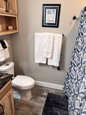 Shower, hair dryer, towels