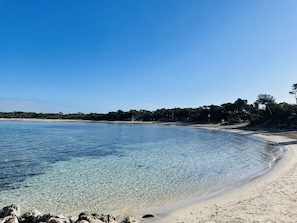 A beach with clear water, sandy shore, and trees in the background. - - BE OUR GUEST! - Beach, relaxation, and a private rooftop terrace (Ses Salines)