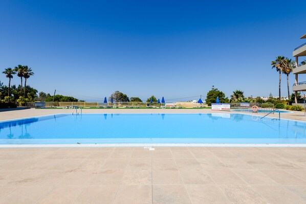Relax by the pool surrounded by a tiled deck and palm trees.
