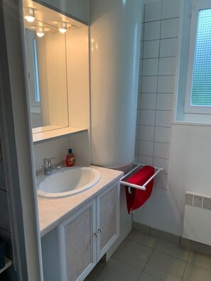 Shower, hair dryer, toilet paper
