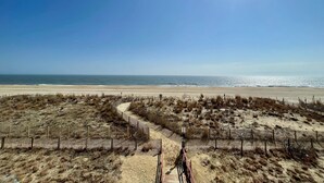 Un sentier qui longe la plage et mène à l’océan, avec un ciel dégagé et un soleil radieux.