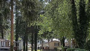 A gravel driveway leading to a row of mobile homes with a wooded area on one side. - Smart Home Venezia with terrace, ~15 min Europapark, Rulantica (Boofzheim)