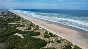 Ein Luftbild von einem Strand mit sandigem Ufer, dichter Vegetation und blauem Himmel.
