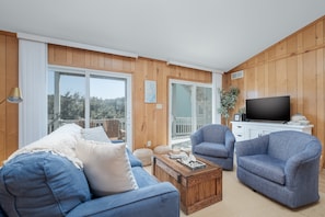 电视、DVD 播放器、书