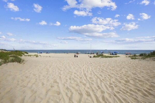 On the beach