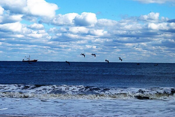 Praia