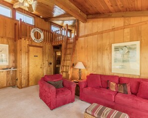 TV a schermo piatto, lettore DVD, videoteca