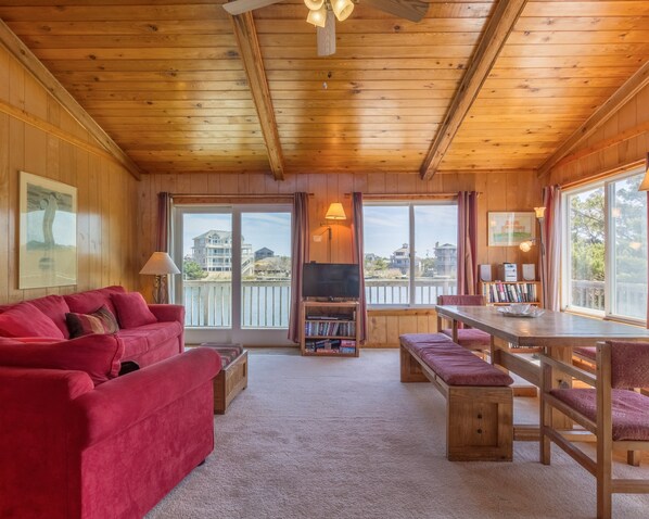 تلفزيون بشاشة مسطحة، مشغل دي في دي، مكتبة فيديو