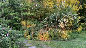A garden with a stone pathway, various flowering plants, and a dense backdrop of trees. - Cottage in Edgecomb - Waterfront Holiday Getaway (Edgecomb)