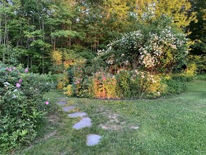 المنطقة المحيطة بالمنشأة