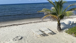 Une plage avec des chaises longues blanches et un palmier.
