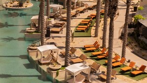 An aerial view of a resort with a pool, sun loungers, and palm trees. - Ocean front over looking the arch in Cabo San Lucas, with golf access (Cabo San Lucas)