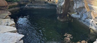 Rockford Retro Revival • Indoor Pool + Arcade Fun!