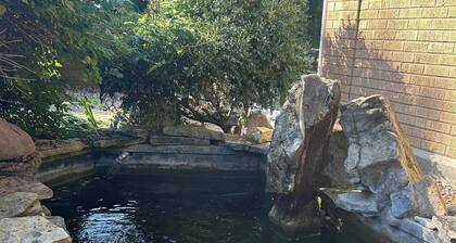 Rockford Retro Revival • Indoor Pool + Arcade Fun!