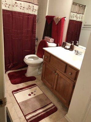 Ensemble douche/baignoire