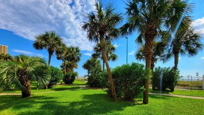 A well-maintained park with palm trees, a clear sky, and a pathway. - Beachfront Condo w/ FREE Beach Service, 2nd Floor, Pools, Saunas, Tootsie's (Panama City Beach)
