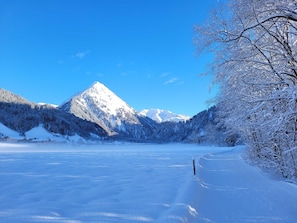 Niet-geclassificeerde afbeelding, 3 van 28, knop