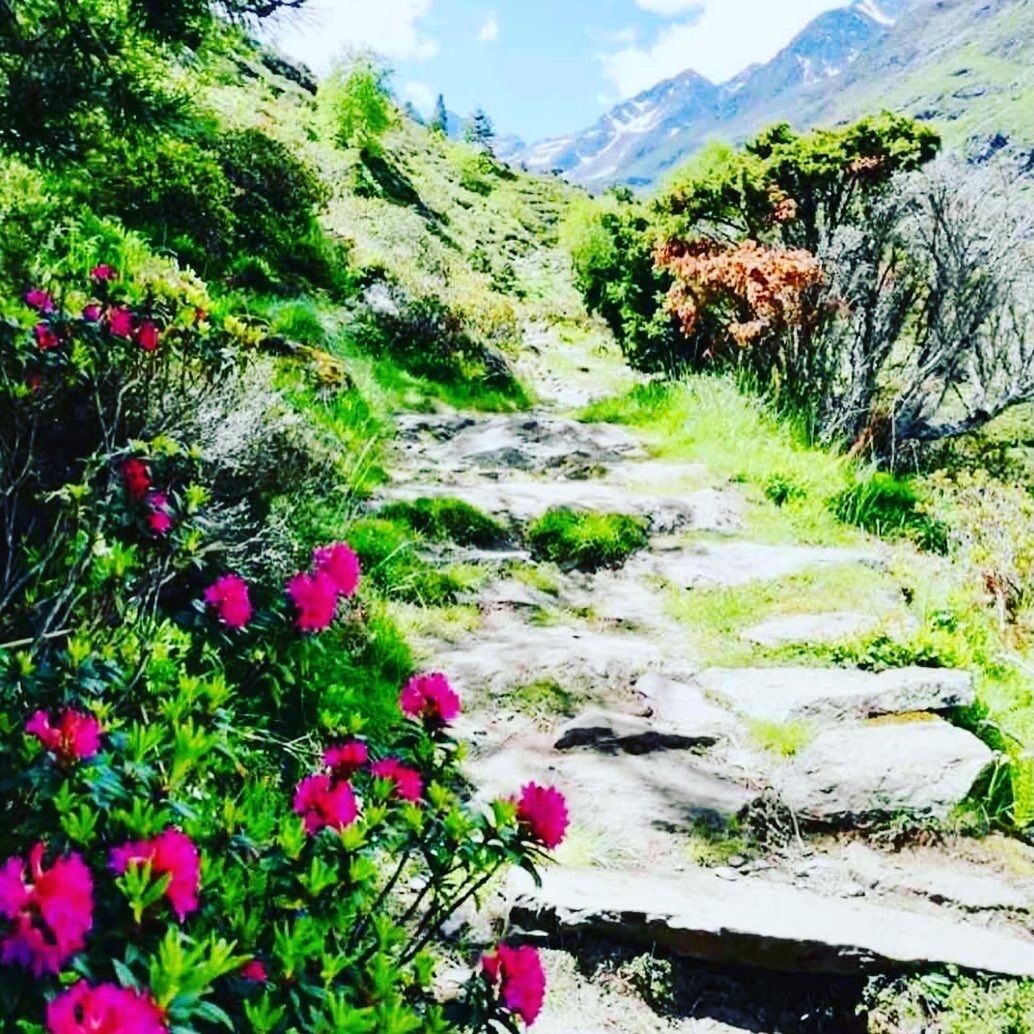 A stone pathway leading through a mountainous area with green vegetation and pink flowers.
