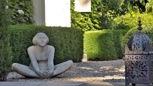 Property grounds - La Chapelle aux Acacias (Caucalières)