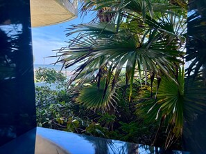 Property grounds - Seafront apartment, 2 bedrooms, pool, parking, pets allowed (La Tranche-sur-Mer)