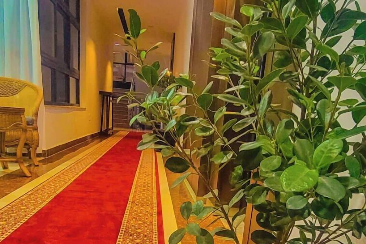 A hallway with a red carpet and a patterned border, potted plants, and a wooden bench.