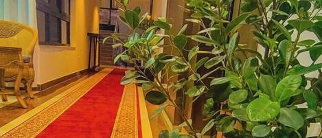 A hallway with a red carpet and a patterned border, potted plants, and a wooden bench.