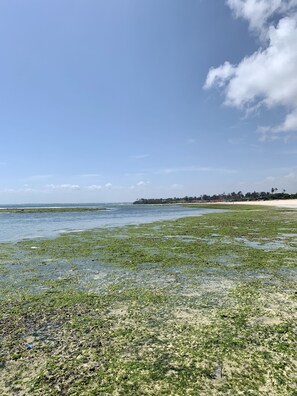 Beach - Wonderful place (Dar es Salaam)