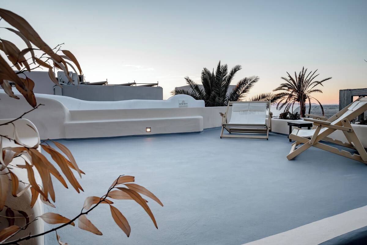 A rooftop terrace with lounge chairs, palm trees, and a clear sky.