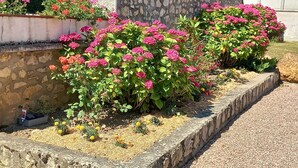 Un giardino con piante fiorite e un muro in pietra.