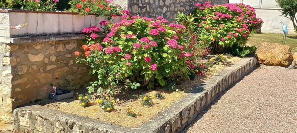 A garden with flowering plants and a stone wall.