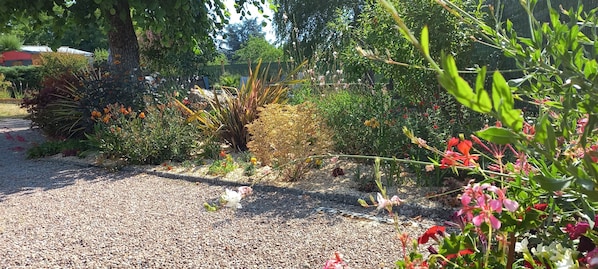 Un jardin avec des allées de gravier, différentes plantes et un arbre.