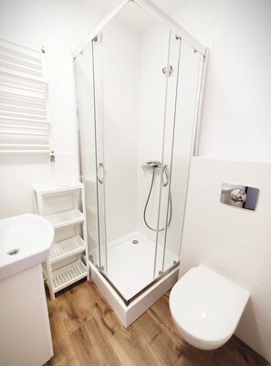 Shower, towels, toilet paper