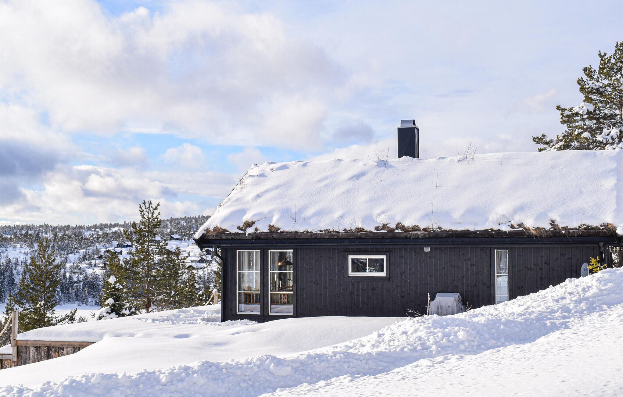 Eksteriør