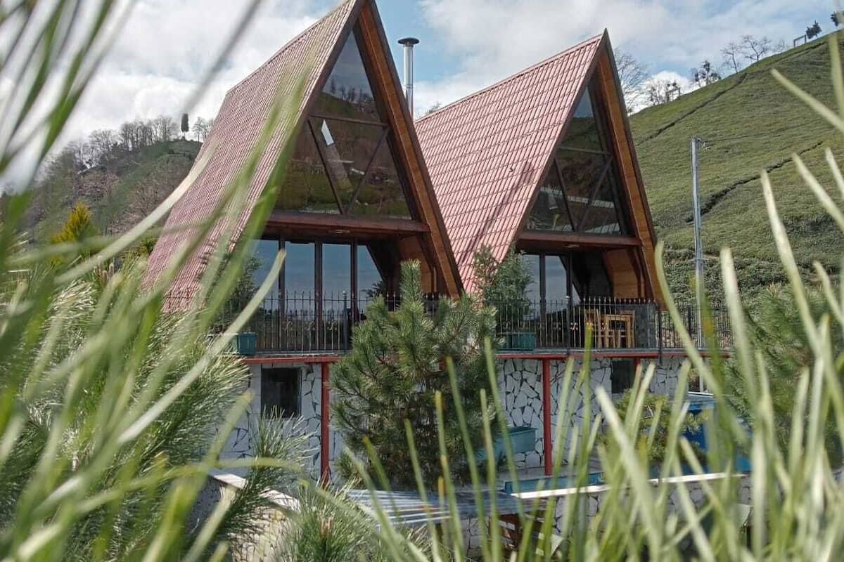 A modern house with a triangular roof design, surrounded by lush greenery.
