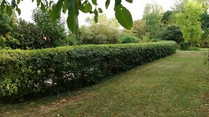 A well-maintained hedge along a pathway in a garden setting. - La petite maison (Wolfgantzen)