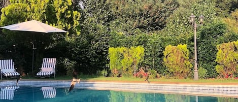 Piscine extérieure