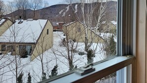 A view from a window of a residential area with houses, bare trees, and a snow-covered landscape.