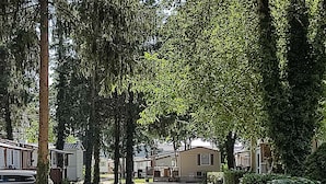 Uma estrada de cascalho leva a uma fileira de casas móveis, com uma área arborizada de um lado.
