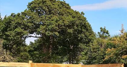 Chateau / Country House